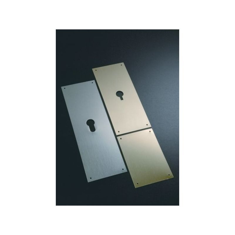 PLACA CERRADURA 80X120MM 300/31 LAT/MT CIEGA BERNIAL