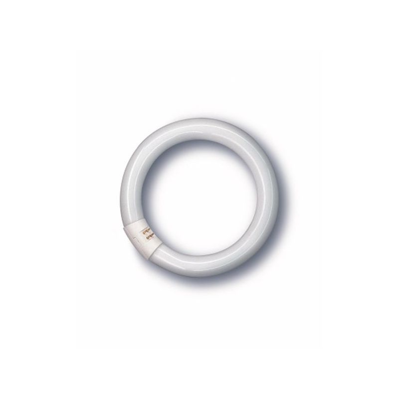 TUBO ILUMIN FLUORESC TRIFOSFORO CIRCULAR 22W 6500 K OSRAM